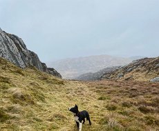 5th March Shiel Hill to Craigmasheenie